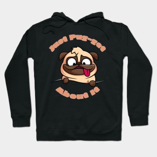 Just Pug-get about It Hoodie